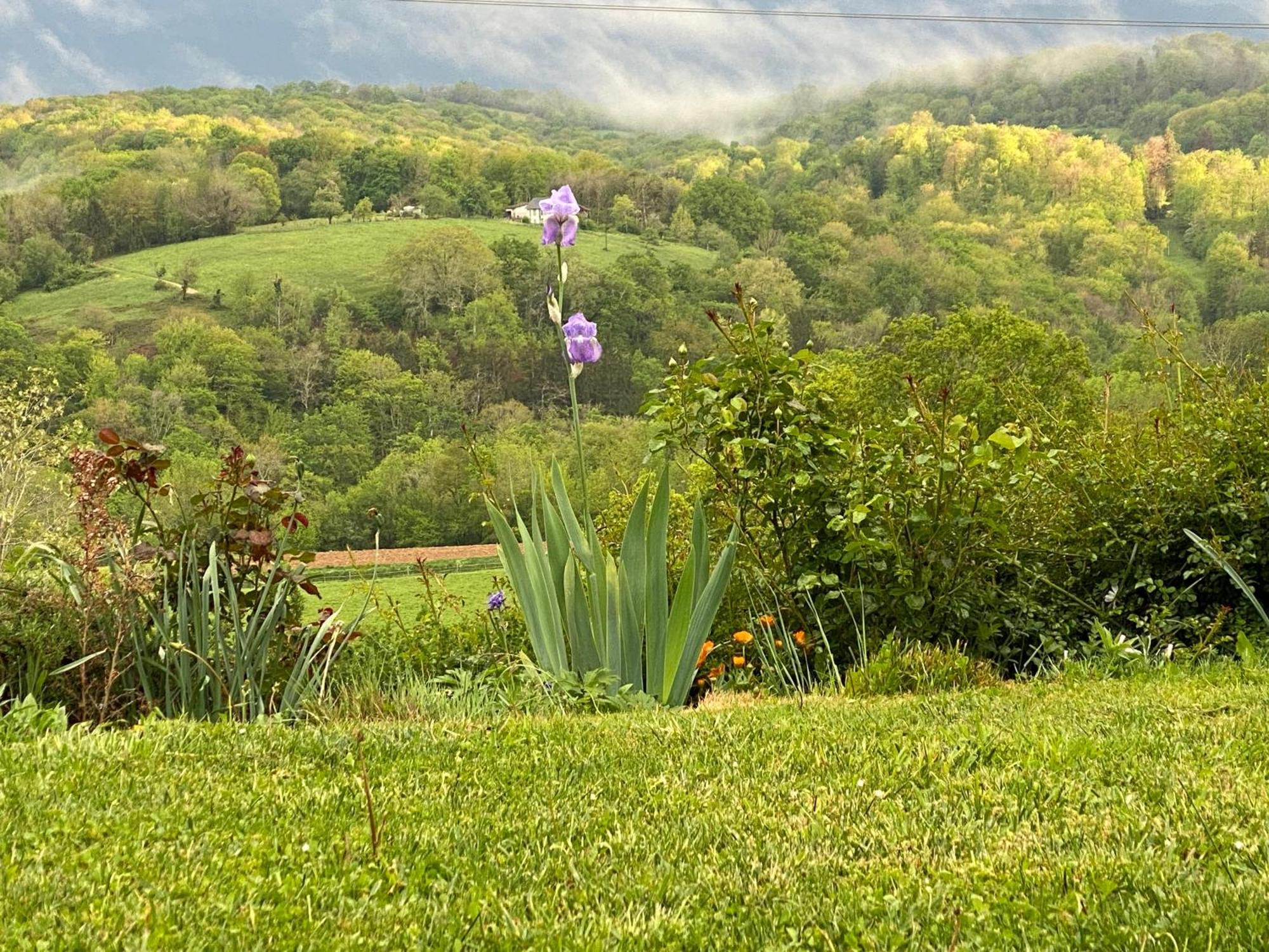 Appartement Poulou Pyrenees à Gelos Extérieur photo