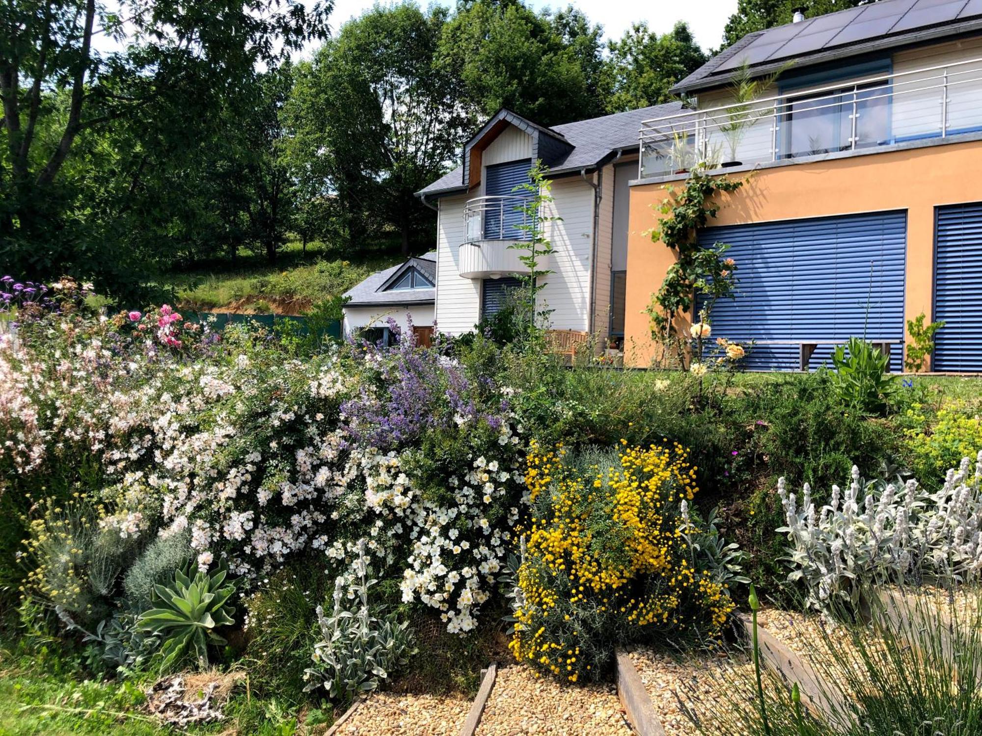 Appartement Poulou Pyrenees à Gelos Extérieur photo